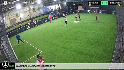 Faute de Guillaume N - Dosatron Fc