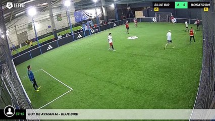 But de Ayman M - Blue Bird