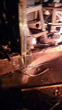 ONG Latidos do Bem resgata animais abandonados e pede ajuda para tratamento