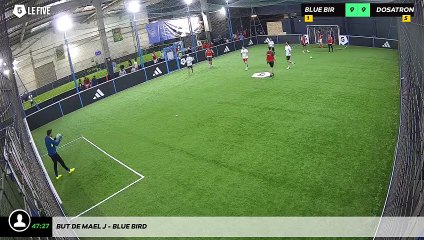 But de Mael J - Blue Bird