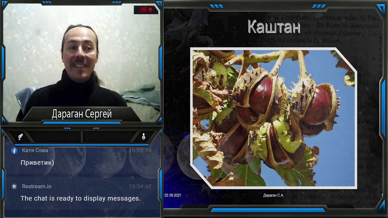 Владислав Этейла Каштан