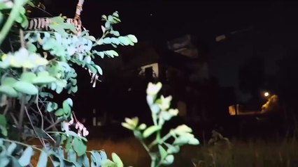 RUMAH MEWAH ANGKER JAMAN BELANDA !