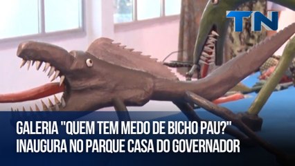 Galeria "Quem tem medo de Bicho Pau?" inaugura no Parque Casa do Governador