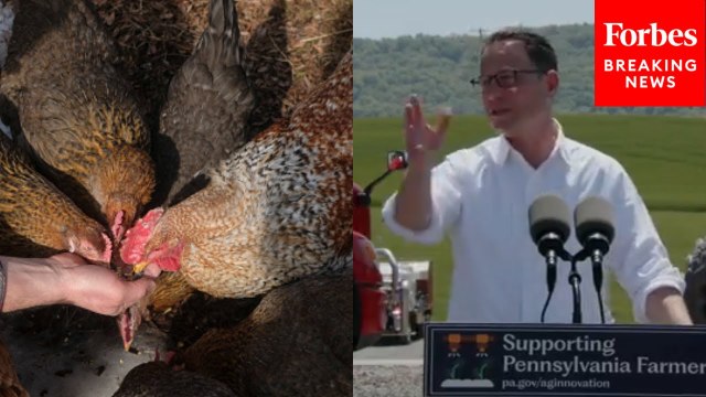 Pennsylvania Governor Josh Shapiro Asked About Cuts To FDA's Avian Flu Testing