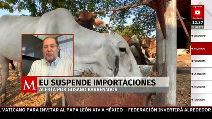 “Por décadas México siempre ha sido un exportador de ganado”: Juan Carlos Anaya