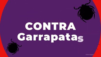 Tus mascotas libres de parasitos