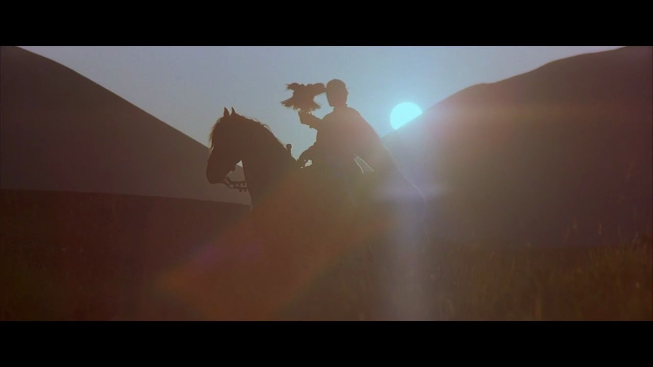 Sólyom (Ladyhawke)