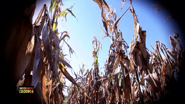 Faites Entrer lAccusé Vengeance au pays des motards
