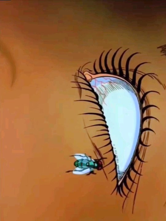 #creepy #eye #carnivore #sn2sg #sunnight #stepbystep #trap #sunnightmusic #sunnightpop #sunnightblues #draw #fly #anime #2d #cartoon #edit #meal #eating #catch #prey