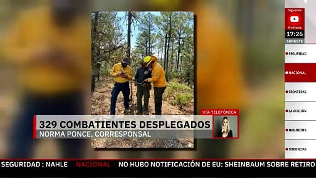 Movilizan a 329 combatientes para contener doce incendios forestales en Chihuahua