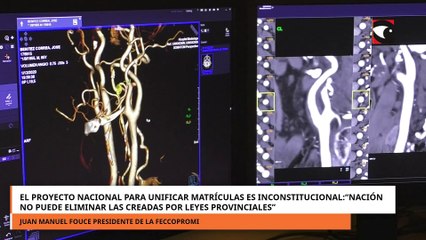 El proyecto nacional para unificar matrículas es inconstitucional:“Nación no puede eliminar las creadas por leyes provinciales”