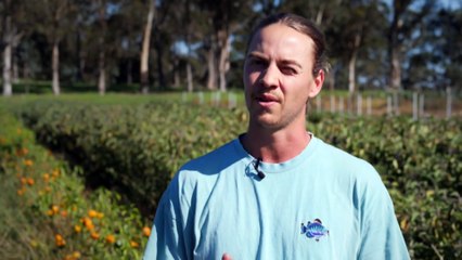 WA experiencing above-average temperatures for May