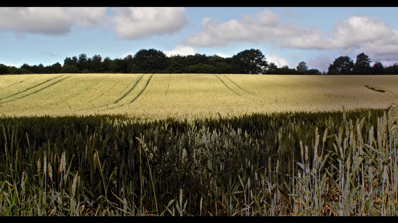 Wir dürfen es nicht vergessen | movie | 2024 | Official Trailer