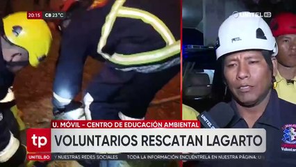 Lagarto en la vía pública causa susto en la zona de El Bateón