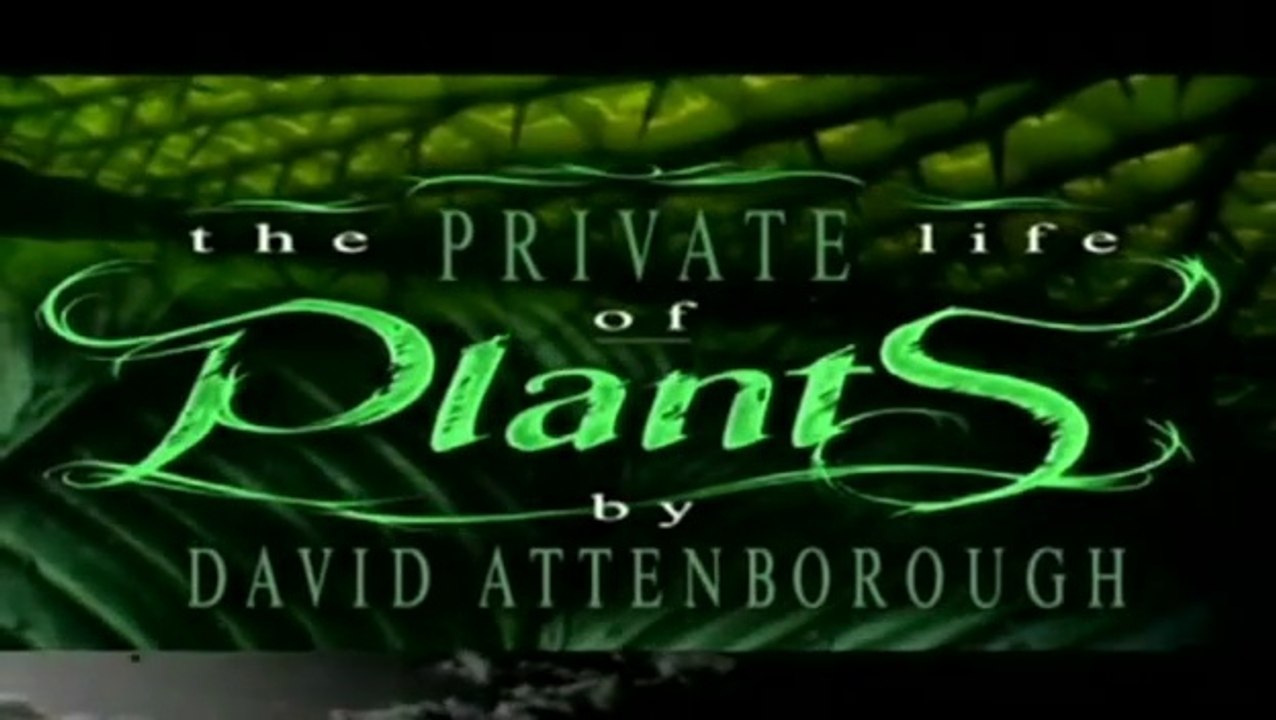 Sir David Attenborough - The Private Life Of Plants - The Social Struggle