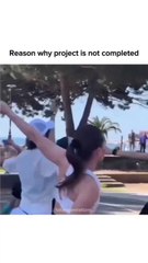 Reason why project is incomplete