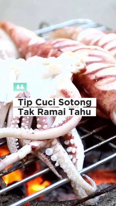 Tip Cuci Sotong Dengan Tepat