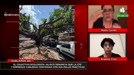 Maite Cortés y Erasmo Cruz nos hablan sobre malas prácticas de destruir el arbolado urbano