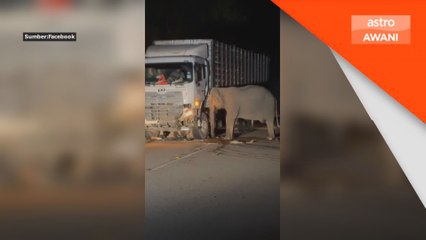 Langkah holistik perlu diambil