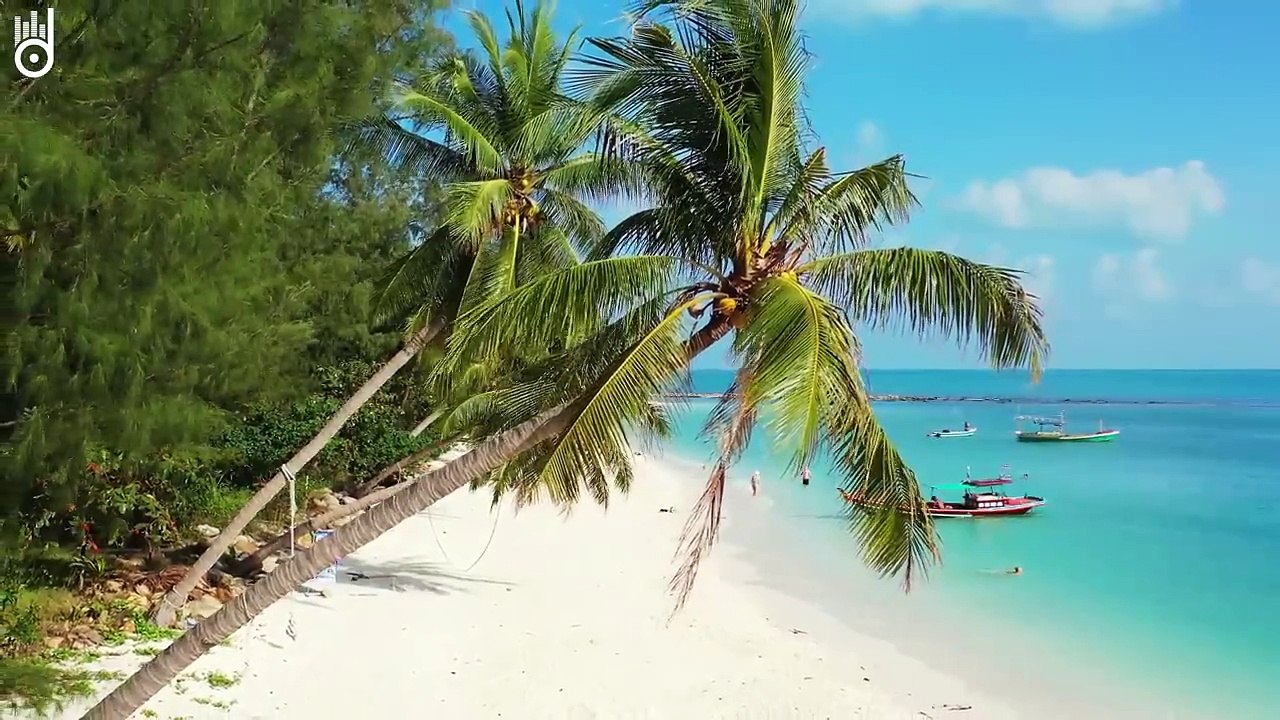 Alan Walker, Dua Lipa, Coldplay, Martin Garrix & Kygo, The Chainsmokers Style 🔥 Summer Vibes #1