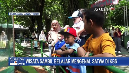 Hari Terakhir Libur! Tol Pasteur Lancar, Ragunan Jadi Tujuan Favorit Warga