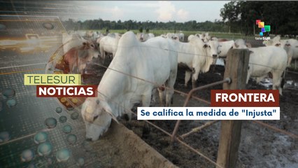 Estados Unidos cerró fronteras con México por la presencia del "gusano barrenador"