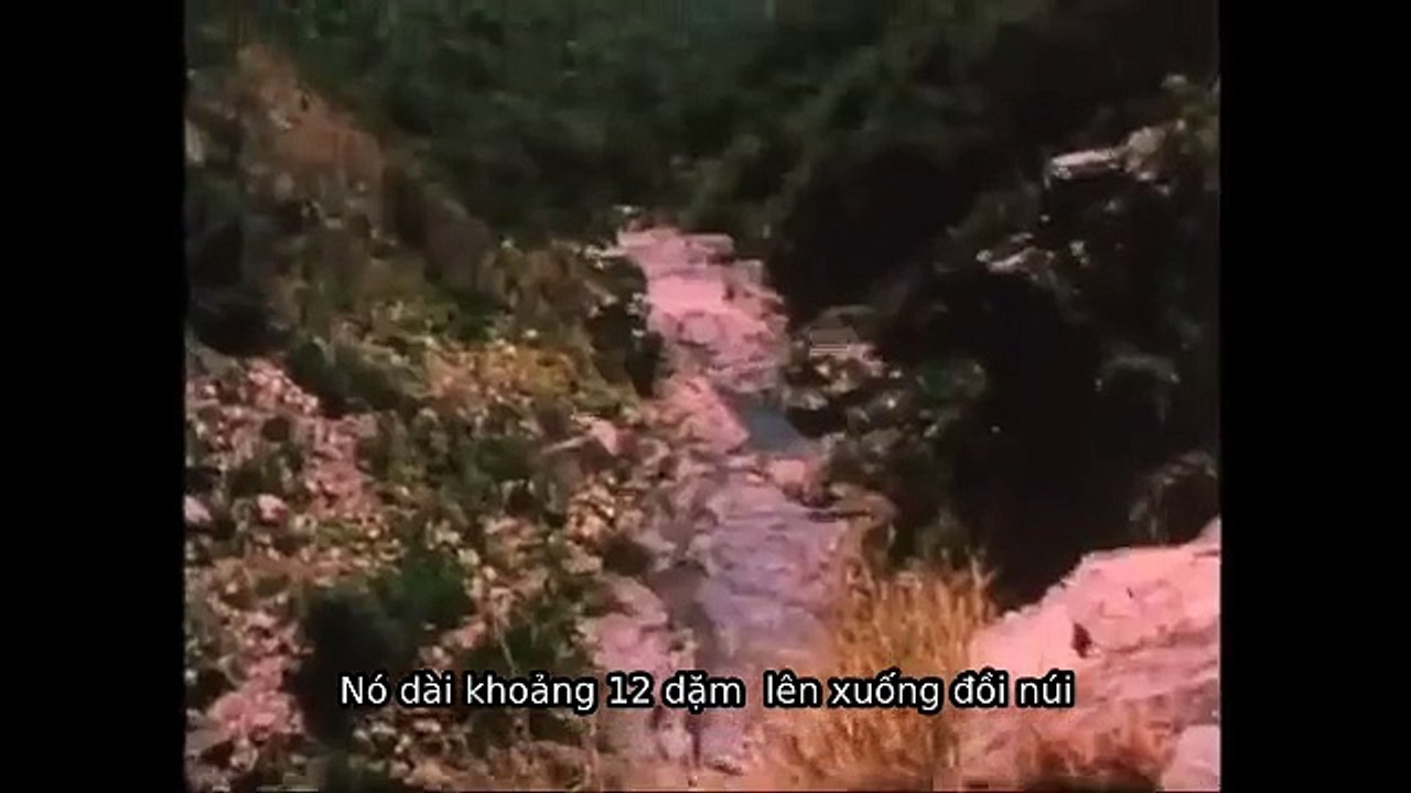 The Real World Of Hong Kong (Part 2)