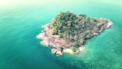 Shark Island Trailer DF