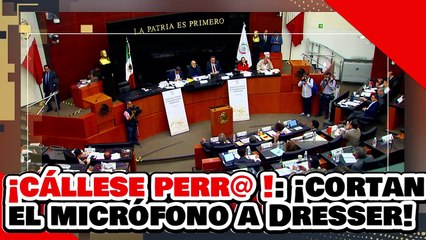 ¡CÁLLESE PERR@ NEOLIBERAL! ¡Le CORTAN el MICRÓFONO a DENISE DRESSER por ENGOLOSINADA y MENTIROSA!