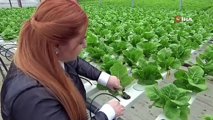 Her şey 6 yıl önce Amerika’ya gitmesiyle başladı, Türkiye’ye teknolojik tarımı getirdi