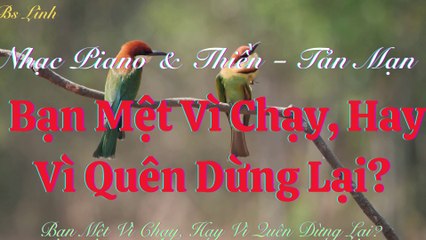 Nhạc Piano Thiền – Tản Mạn: Bạn Mệt Vì Chạy, Hay Vì Quên Dừng Lại?