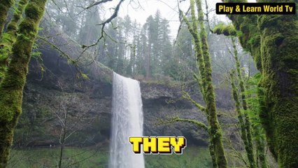 70 Years Young My Secrets to a Happy Life