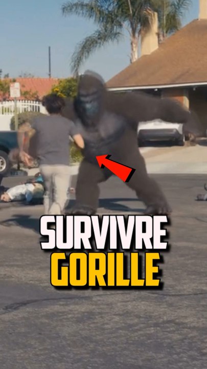 COMMENT SURVIVRE À DES GORILLES ?!