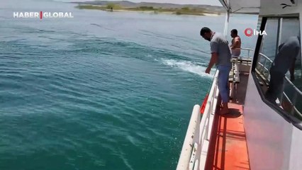 Yaralı martının imdadına tekne çalışanı yetişti