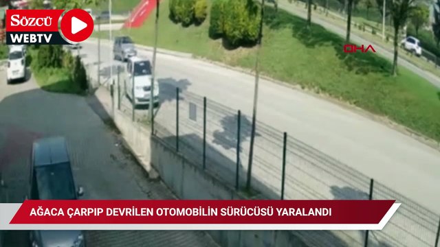 Ağaca çarpıp devrilen otomobilin sürücüsü yaralandı