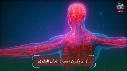 دستور الدولة كيف يكون نبض حياة أو بوابة شقاء؟!!