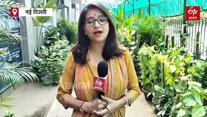 गर्मियों में हरी-भरी रहेगी आपकी बगिया, लगा लें ये खूबसूरत और खुशबूदार पौधे