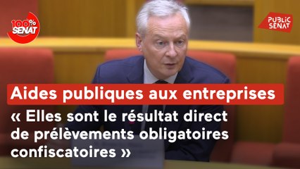 100% Sénat - Aides publiques aux entreprises : audition de Bruno Le Maire