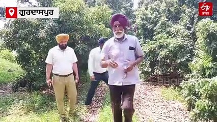 ਤੂਫ਼ਾਨ ਨਾਲ ਖ਼ਰਾਬ ਹੋਈ ਲੀਚੀ ਅਤੇ ਅੰਬ ਦੀ ਫਸਲ ਦਾ ਜਾਇਜ਼ਾ ਲੈਣ ਪਹੁੰਚੇ ਅਧਿਕਾਰੀ