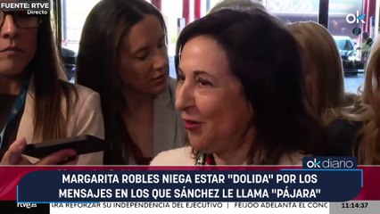 Margarita Robles niega estar "dolida" por los mensajes en los que Sánchez le llama "pájara"