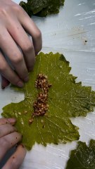 لعشاق ورق العنب يالنجي