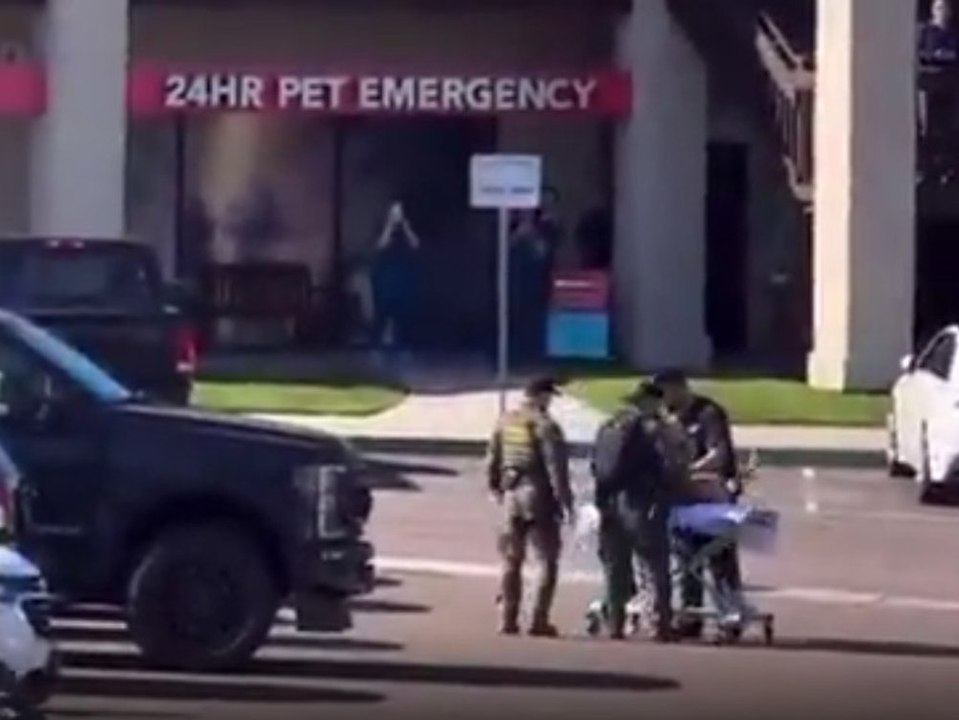 Polizeihund von Schlange gebissen: Video zeigt dramatische Rettung