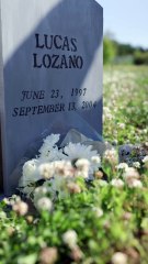 I Married Her as a Joke... Until I Saw Her Crying