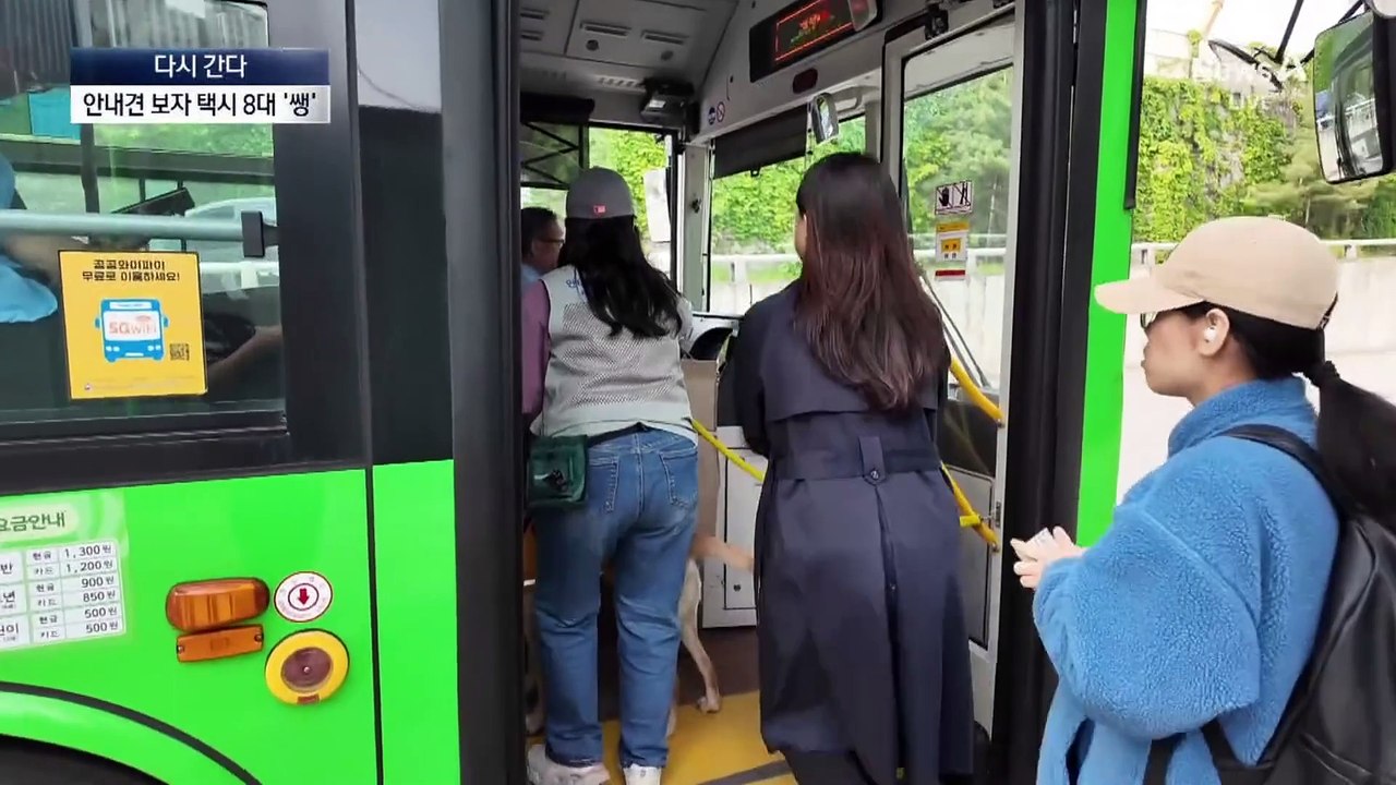 [다시 간다]안내견 보자 택시 8대 ‘쌩’