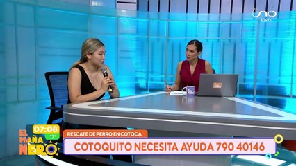 ¡COTOQUITO NECESITA NUESTRA AYUDA!