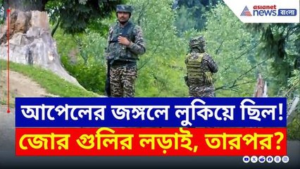 আপেলের জঙ্গলে জোর গুলির লড়াই! নিকেশ ৩ কুখ্যাত জঙ্গি