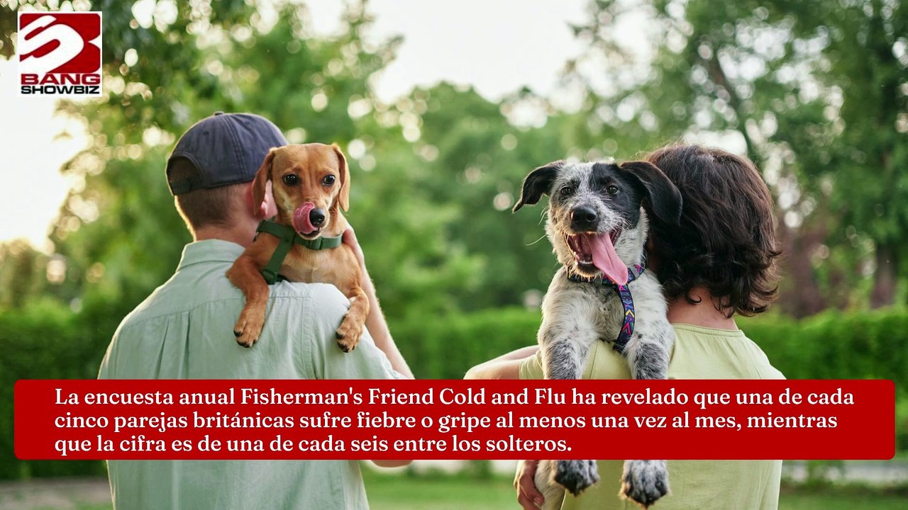 Los matrimonios y los paseadores de perros tienen más riesgo de resfriarse