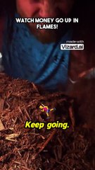 Watch Money Go Up in Flames!