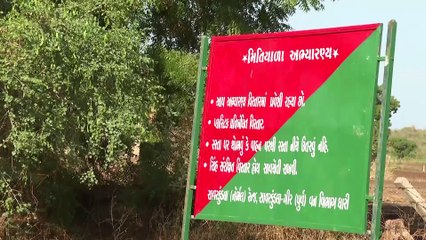ASIATIC LION CENSUS 2025 IN #AMRELI BY FOREST DEPARTMENT #GUJARAT