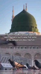 We need to search for the righ path.Islam is the right way #islamic #islam #quran #muslims #القران #الإسلام #الجنة #woman_in_islam